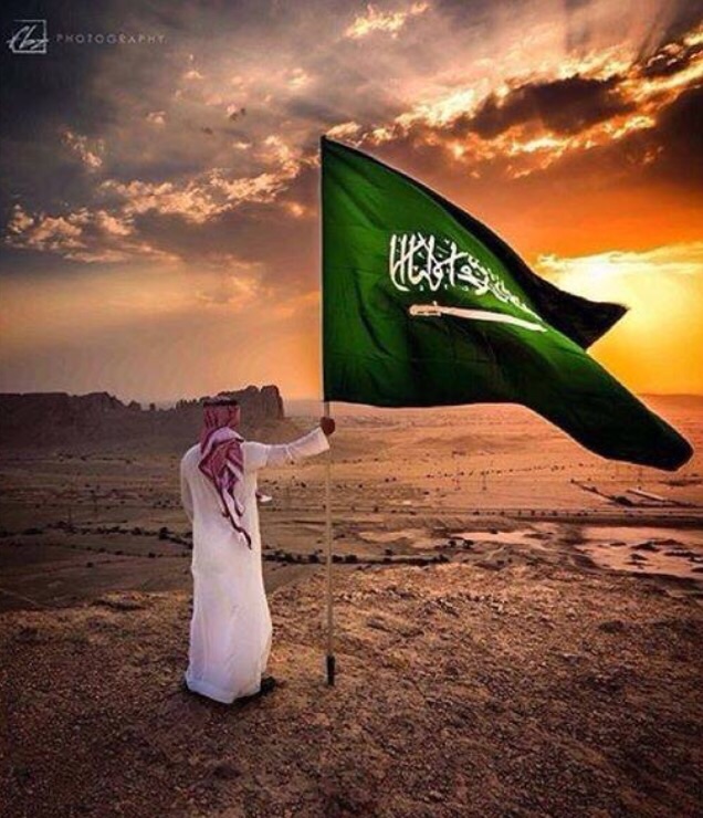 أجهزة حكومية تجهل علم المملكة العربية السعوديه