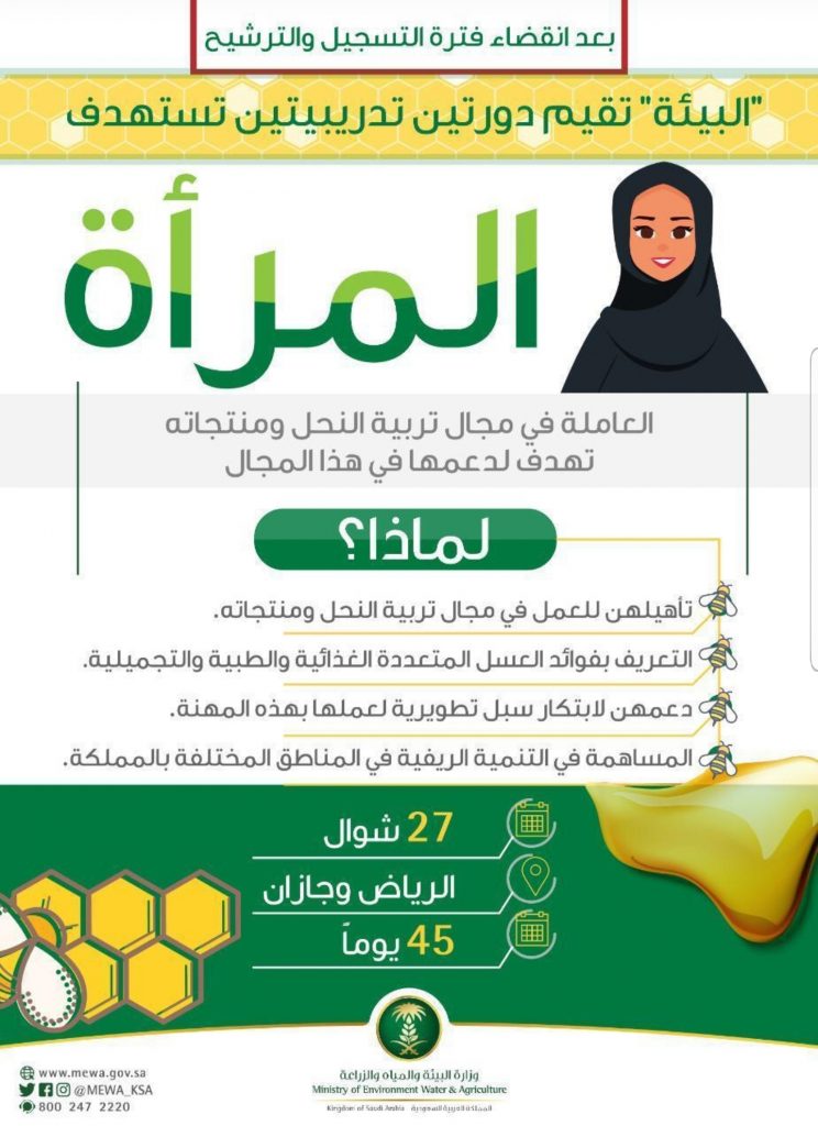 بدأت اليوم الأحد وتستمر لـ 45 يوماً..”البيئة” تبدأ تدريب المرأة في مجال تربية النحل ومنتجاته