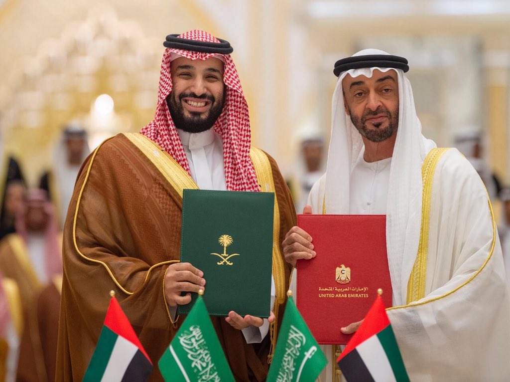 رأس ومحمد بن زايد اجتماع مجلس التنسيق..ولي العهد:الإمارات ضيف قمة العشرين في السعودية