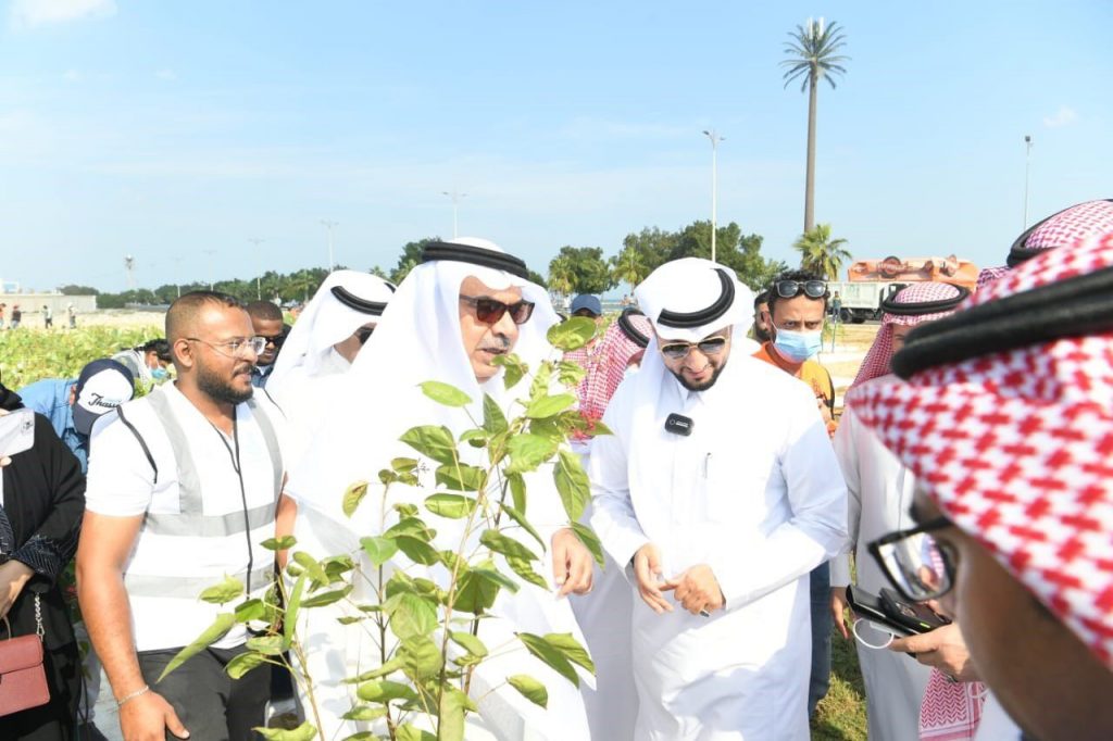 أمانة الشرقية تساهم بزراعة أكثر من 6200 شجرة لترسم شعار السعودية الخضراء