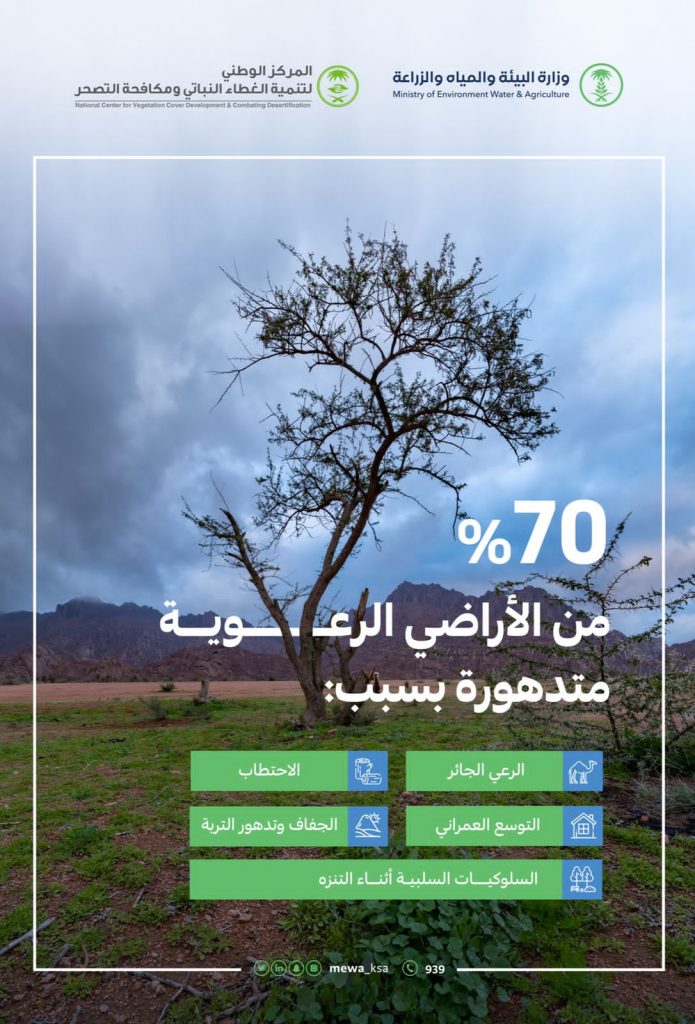 “البيئة” تطلق حملة توعوية لحماية الغطاء النباتي تحقيقًا لمستهدفات مبادرة السعودية الخضراء